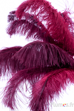 Autruche - 30-40 cm - gris naturel-bordeaux